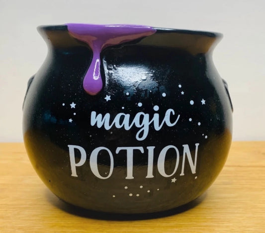 Magic Potion Money Box